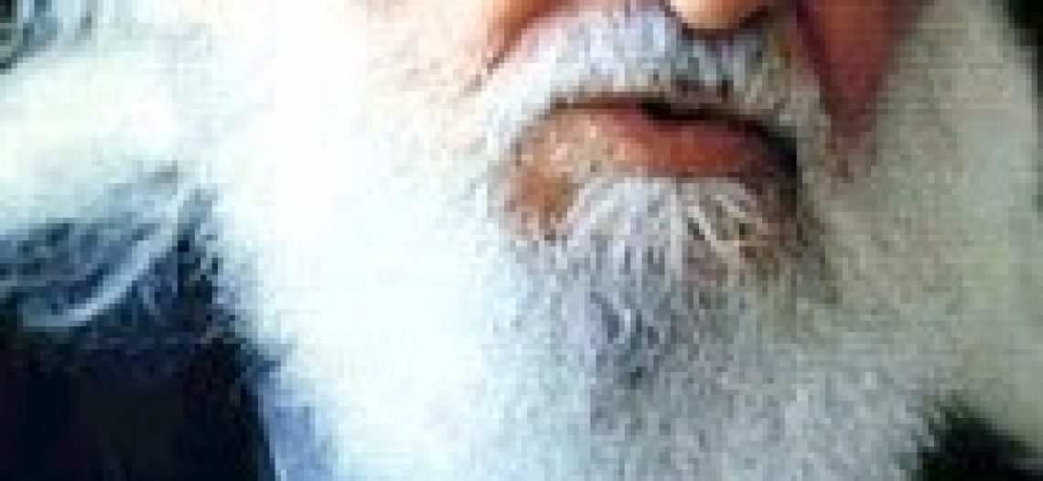 Livro e artigos de Paulo Freire
