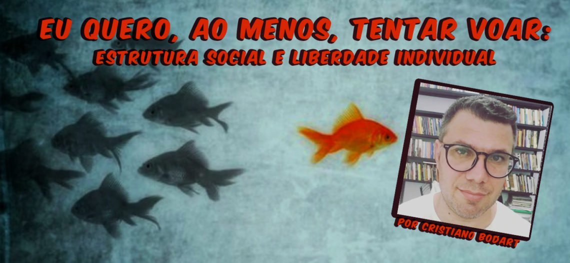Eu quero, ao menos, tentar voar: Estrutura social e liberdade individual